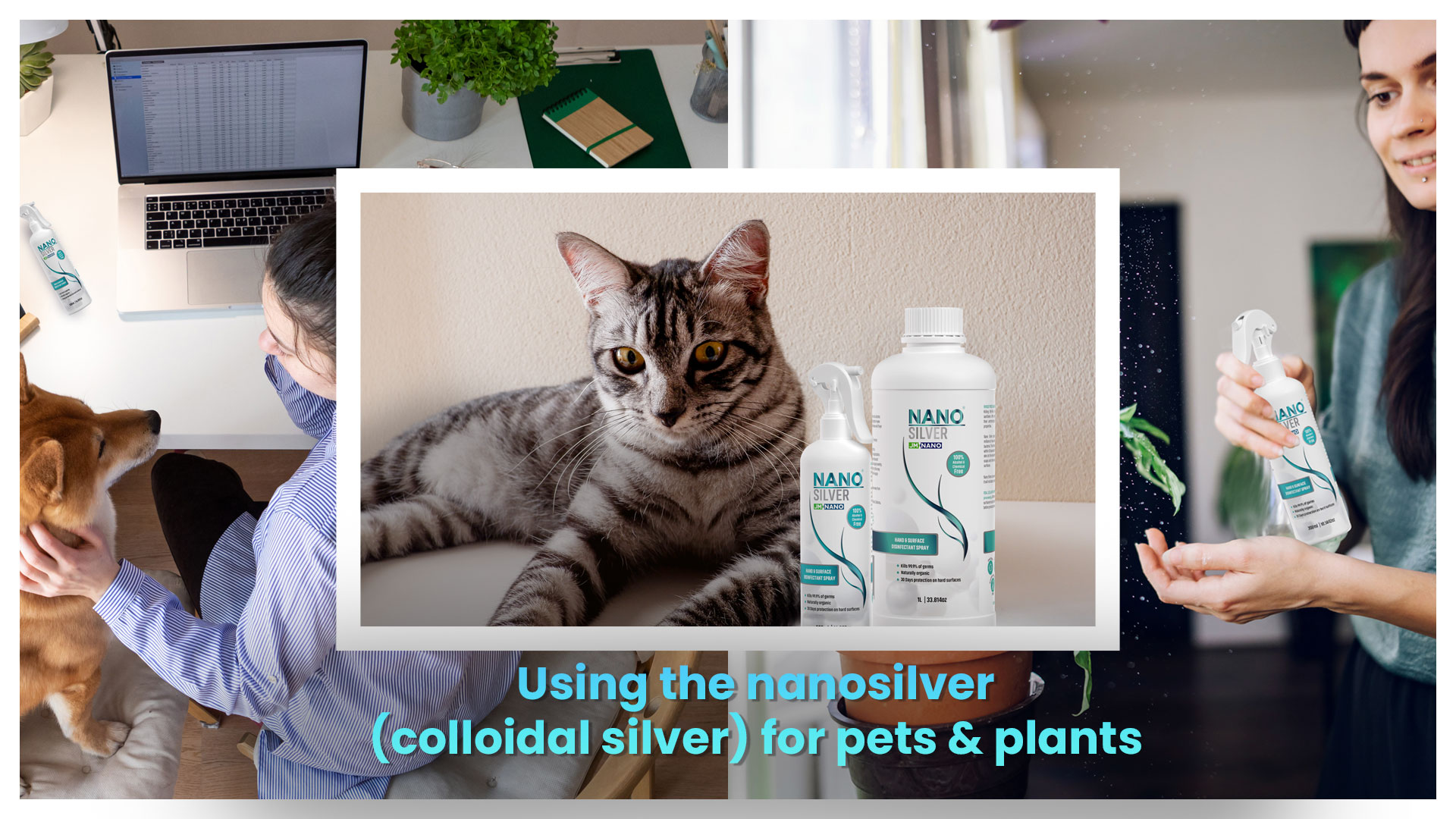 Using the Nanosilver (colloidal silver) for pets